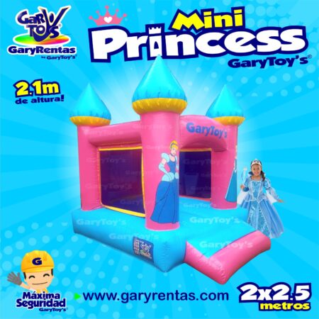 mini princess rentas 1